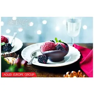 Ledų gaminimo aparatas Camry CR 4481