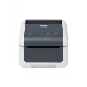 BROTHER TD4210D ETIKEČIŲ SPAUSDINTUVAS (203DPI)
