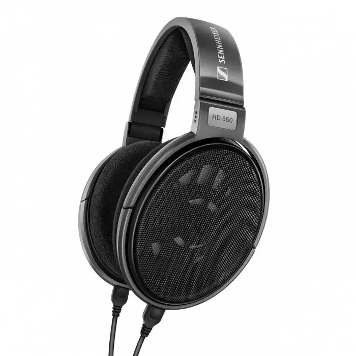 Sennheiser | Wired Headphones | HD 650 | Over-ear | Titan