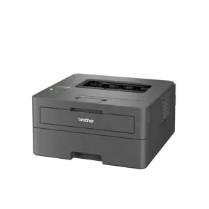 Brother HL L2445DW