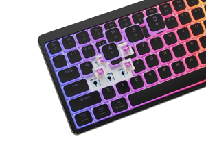 Genesis Thor 430 TKL | Gaming Keyboard | Wired | US | Linear | Black