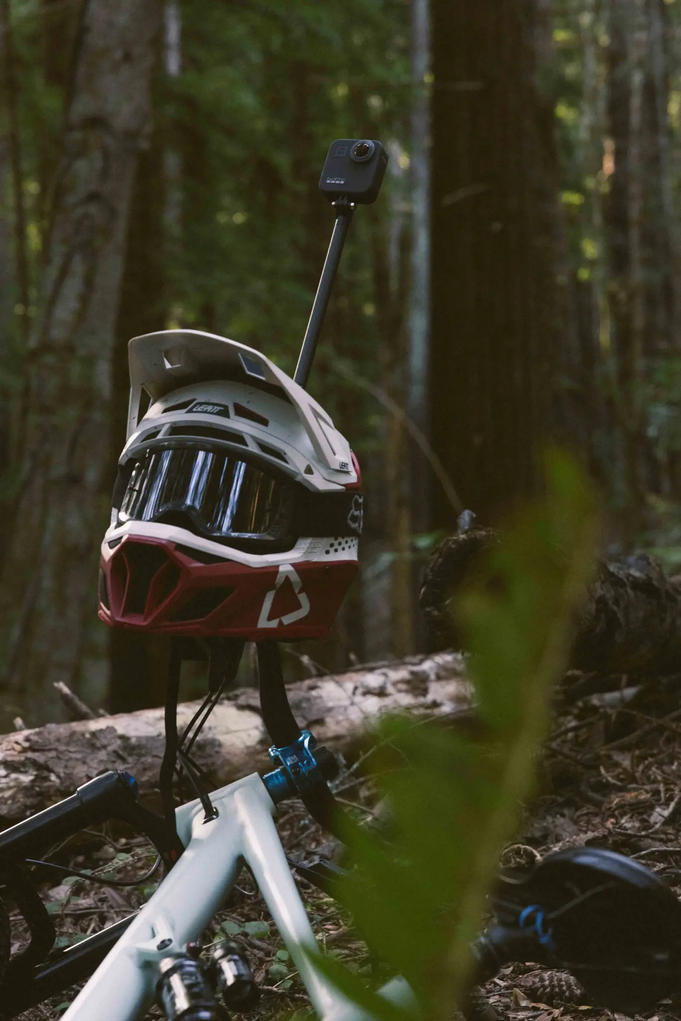 "GoPro Boom" + lipnūs laikikliai