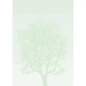 Dekor.popierius 100g Drzewo