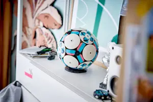 LEGO EDITIONS 43019 Soccer Ball