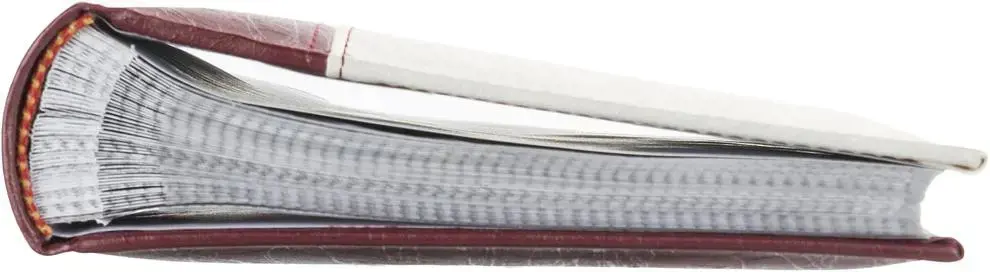 Albumas B 10x15/200M Lux, bronza