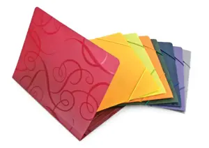 Aplankas su gumelėmis Forpus Barocco, A4, plastikinis, žalias  0816-031