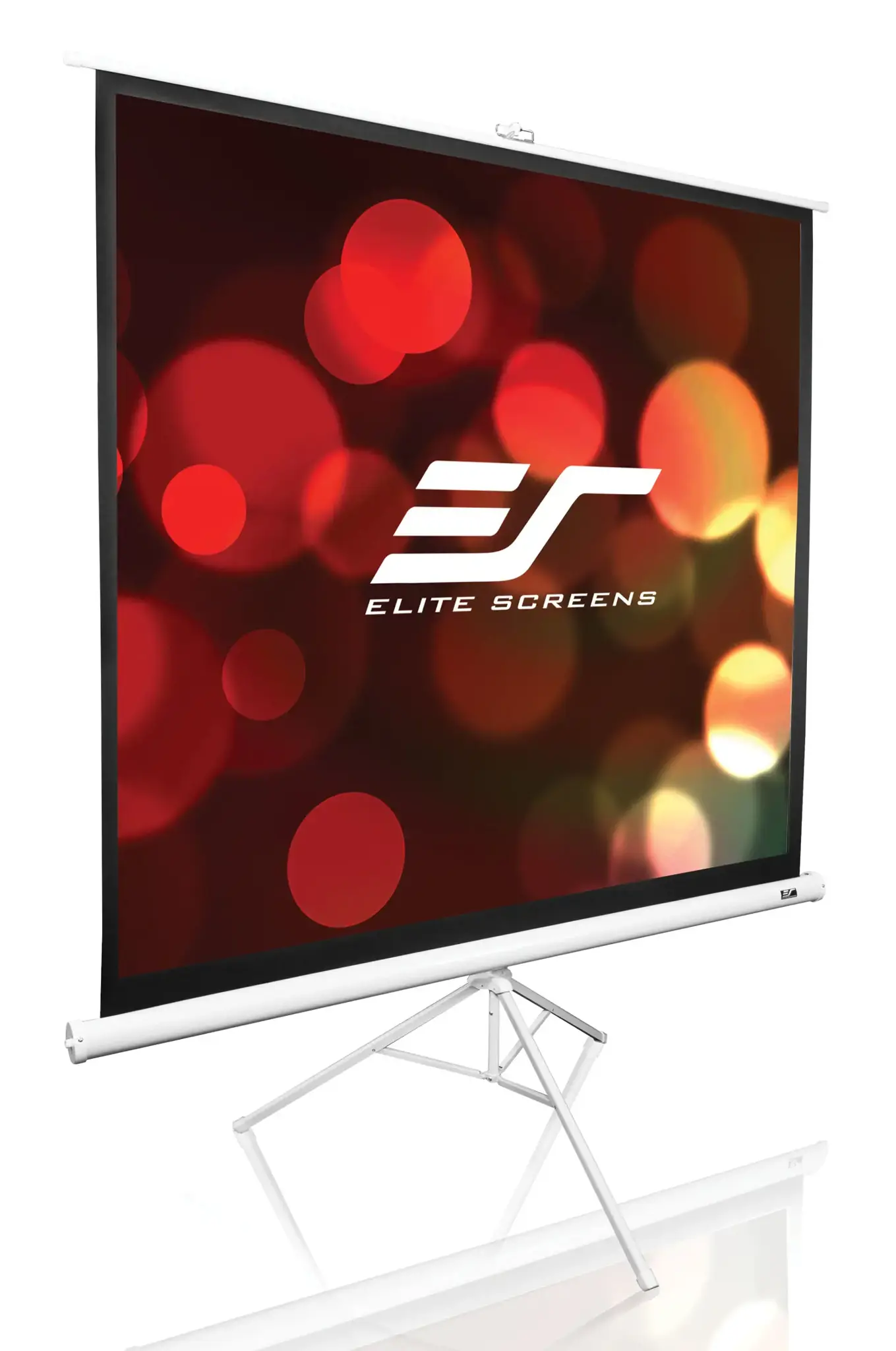 "Elite Screens" ekranų trikojo serijos T113NWS1 įstrižainė 113 ", 1:1, matomas ekrano plotis (W) 203 cm, baltas
