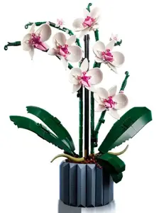 LEGO IKONOS 10311 ORCHIDĖJA