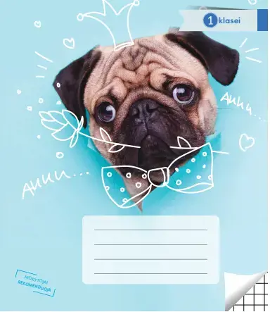 Sąsiuvinis langeliais, 1 klasei, 12 lapų. Vidinių lapų gramatūra – 90 g/m2. Su taisyklėmis ir žaidimais.