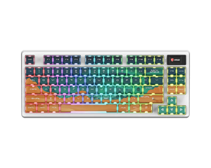 MSI FORGE GK600 TKL WIRELESS MARS | Gaming Keyboard | Wireless | US | Bluetooth | Wireless connecti…