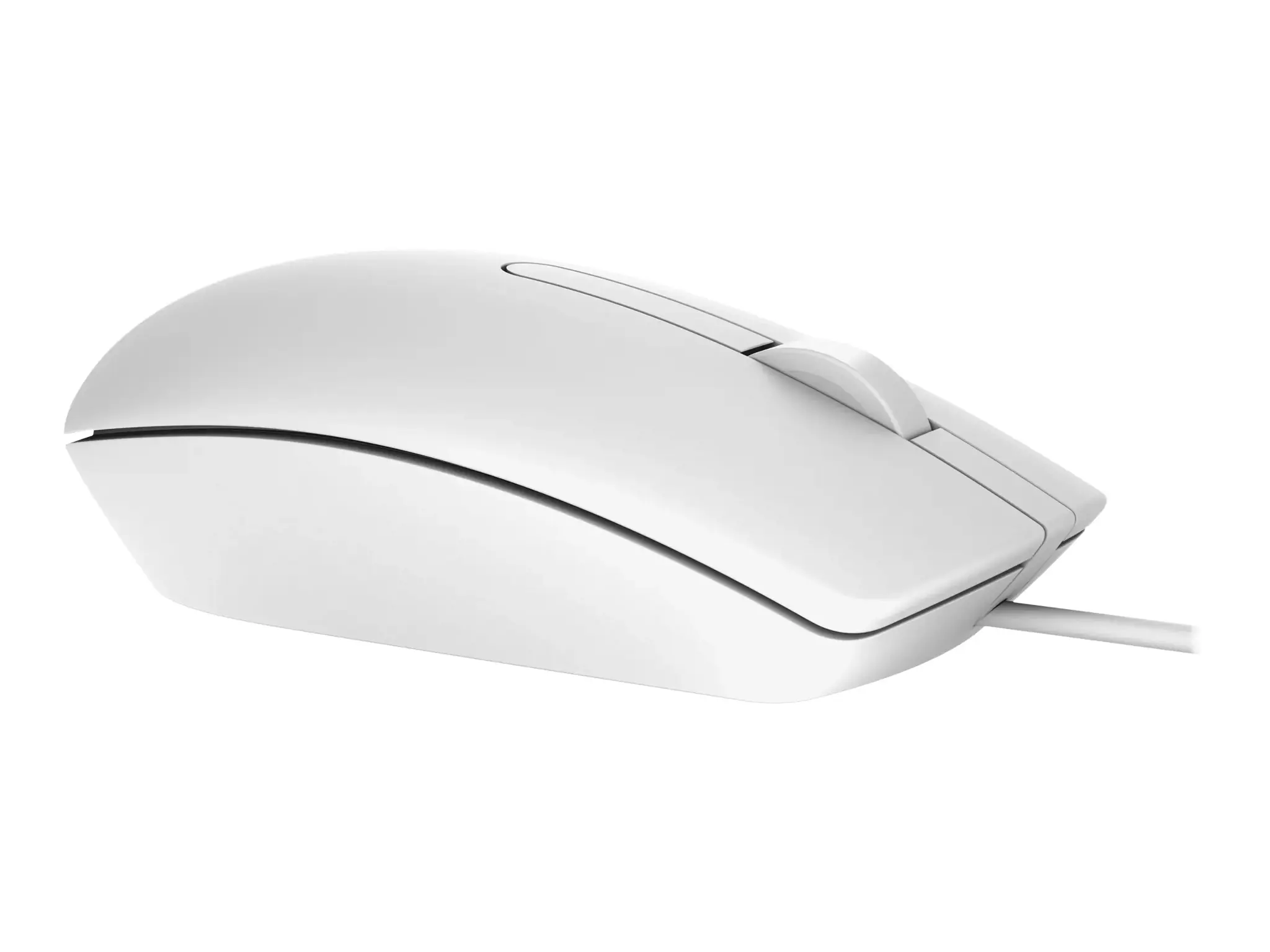 DELL MS116, dvipusis, optinis, USB Type-A, 1000 DPI, baltas
