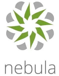 ZYXEL NEBULA LIMITED LIFETIME LICENSE 1 X NAP