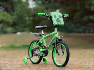 Huffy Minecraft 16" Bicycle, Green 21404W