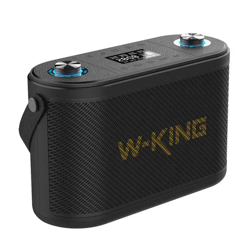 "Bluetooth" belaidis garsiakalbis W-KING H10 120W (juodas)