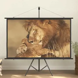 Projektoriaus ekranas, 72", 16:9