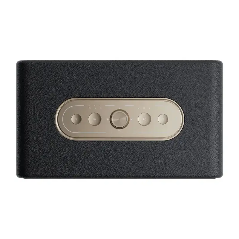 QCY SP300 Wireless Speaker (Black)