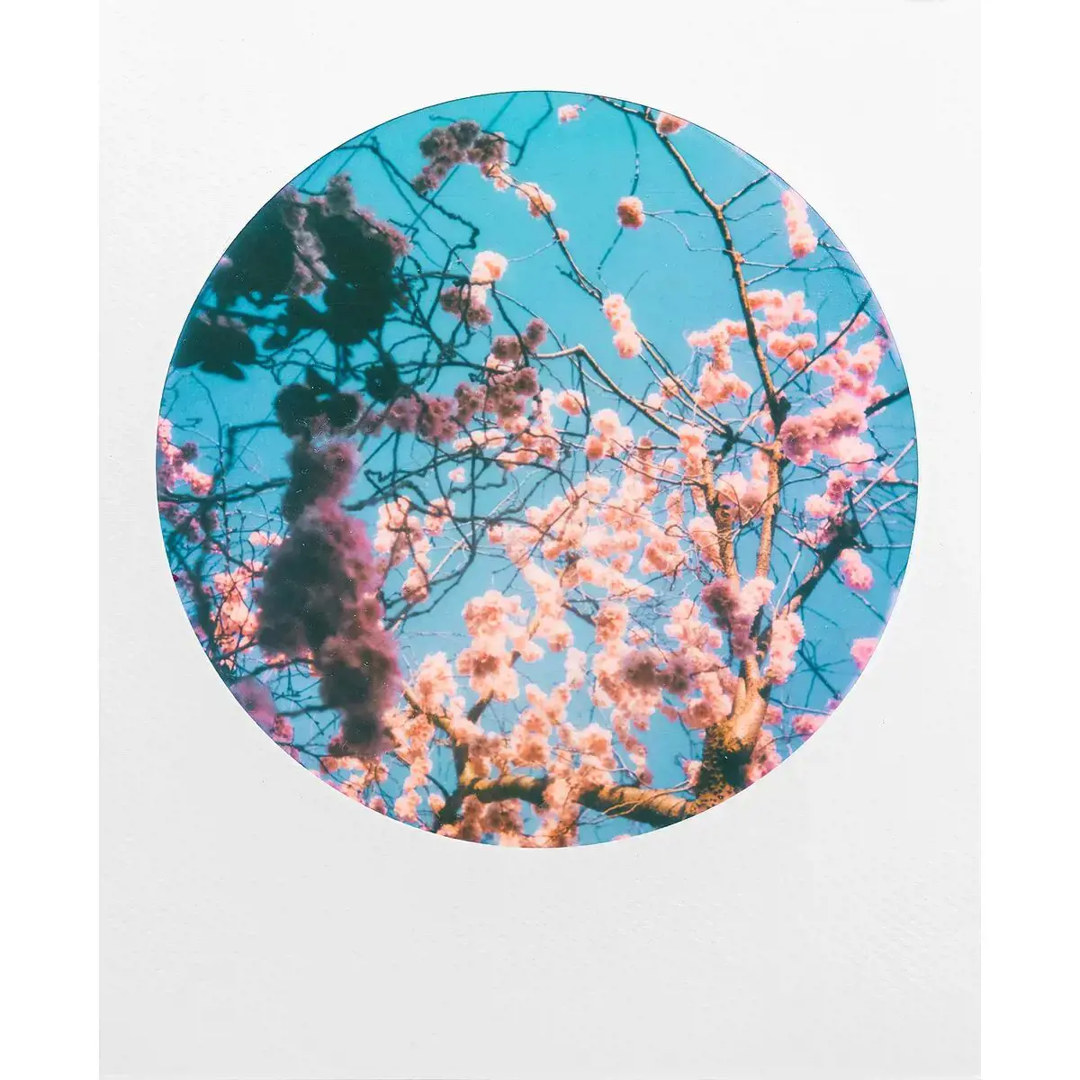 POLAROID COLOR FILM FOR 600 ROUND FRAME