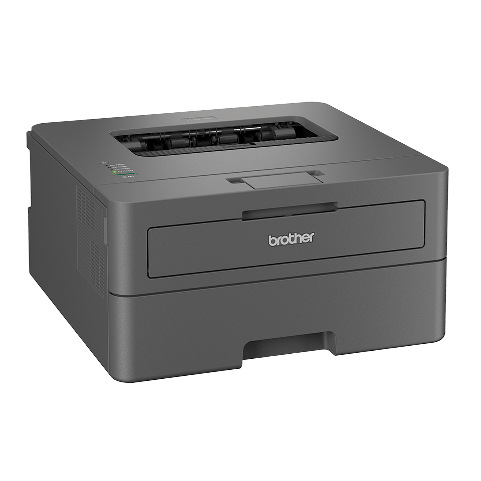 Brother HL L2402D