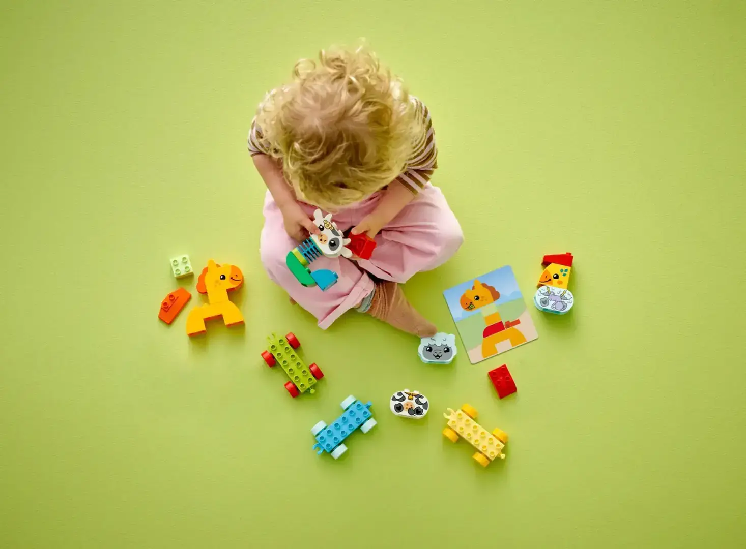 LEGO DUPLO 10412 ANIMAL TRAIN