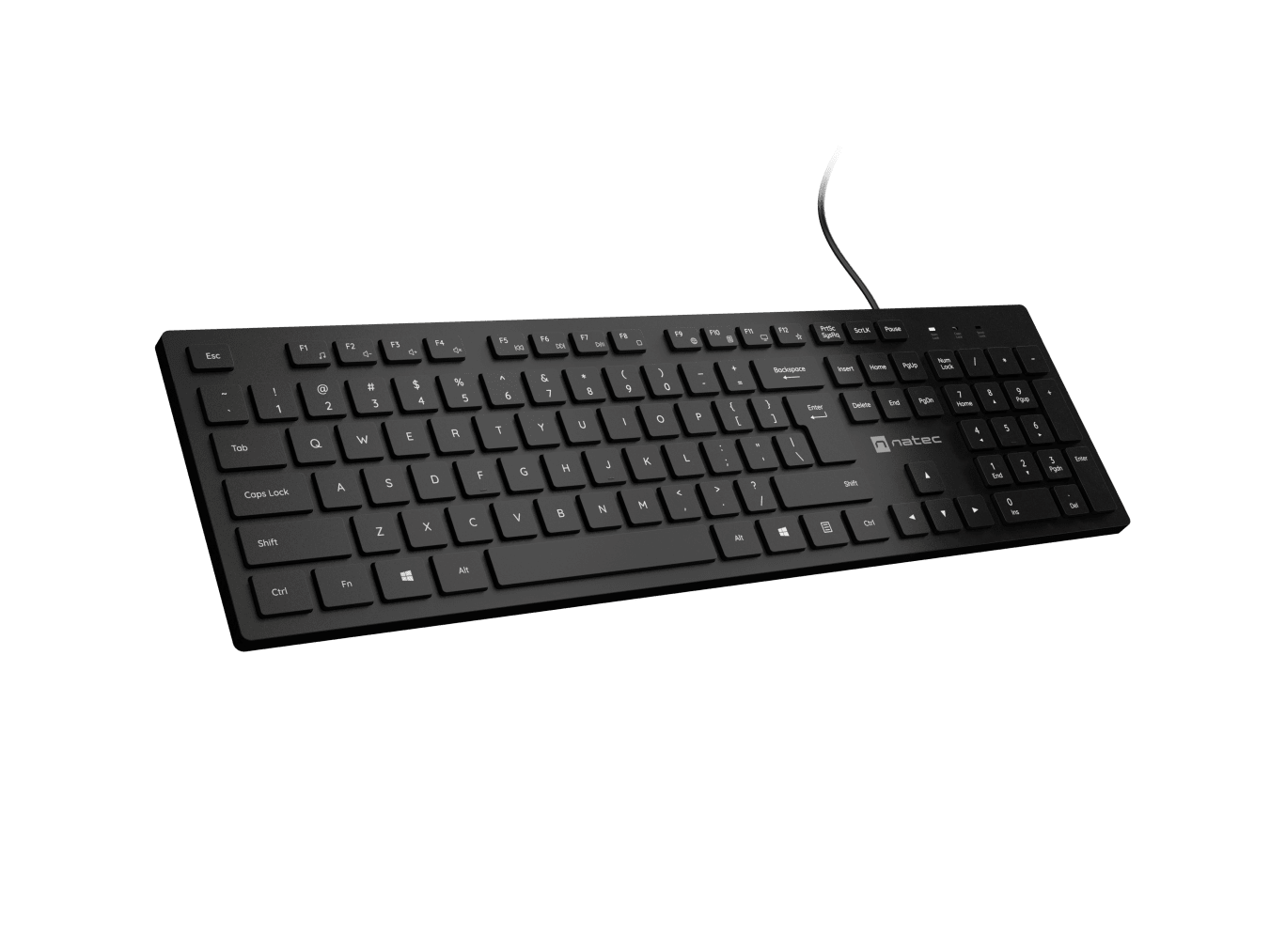 Natec | Herring | Keyboard | Wired | US | Black