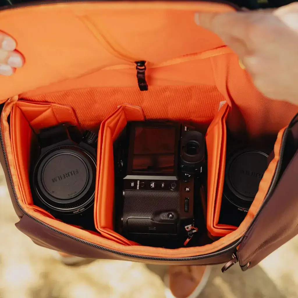 Peak Design Everyday Backpack V2 20L, eclipse