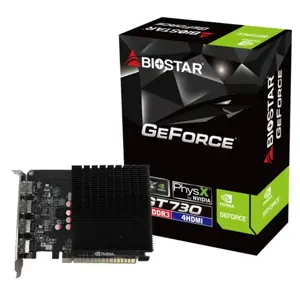 Vaizdo plokštė BIOSTAR GeForce GT 730 4 GB, GDDR3, VN7313TG46