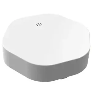 SCHNEIDERIO ELEKTRINIS VANDENS NUOTĖKIO JUTIKLIS BELAIDIS WISER ZIGBEE