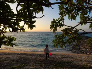 Pentax WG-1000, green