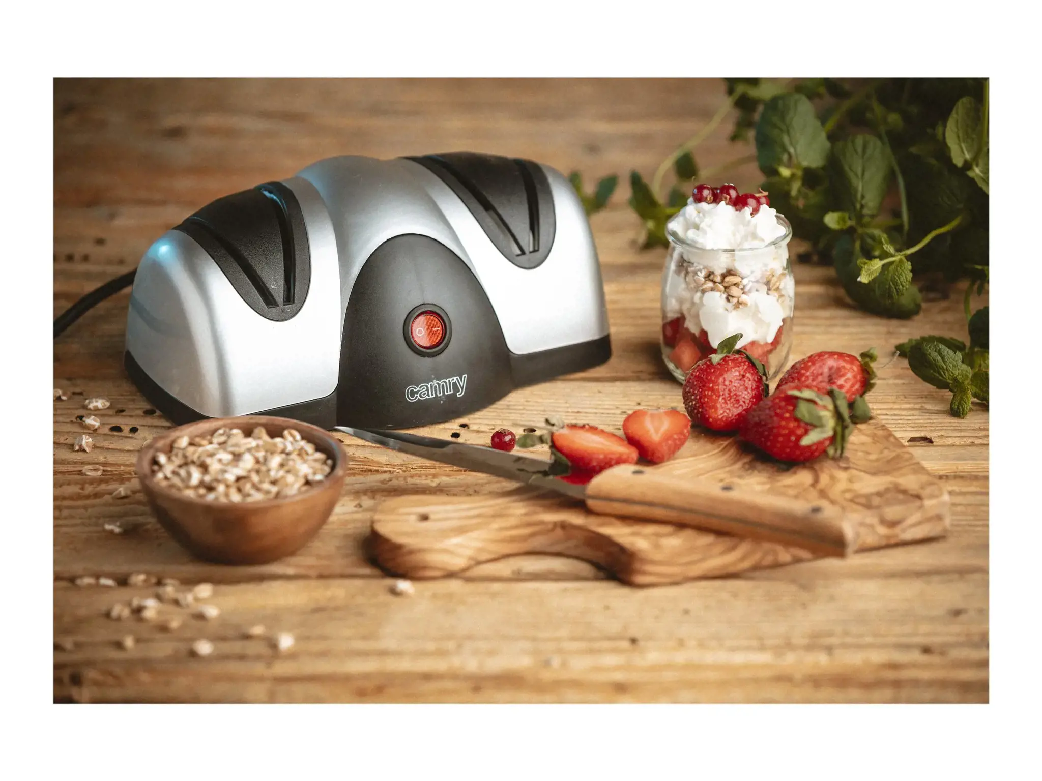 Camry CR 4469 Elektrinis peilių galąstuvas juodas, pilkas