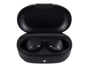Panasonic wireless earbuds RZ-B120WDE-K, black