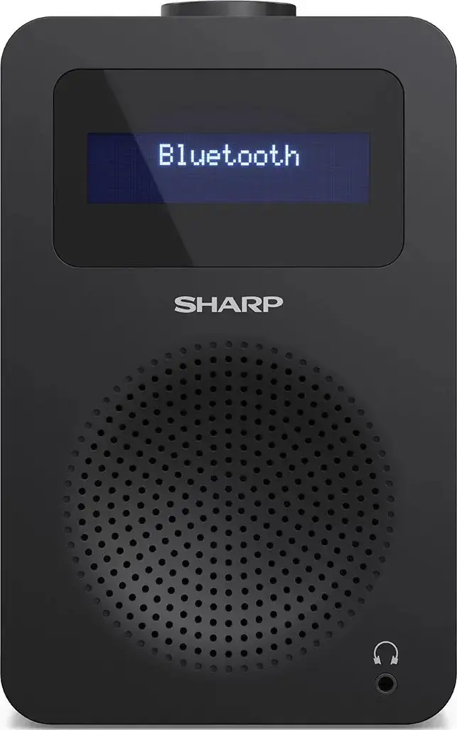 Sharp DR-430, asmeninis, skaitmeninis, DAB, DAB+, FM, 5 W, AAC, LCD