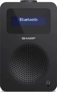 Sharp DR-430, asmeninis, skaitmeninis, DAB, DAB+, FM, 5 W, AAC, LCD