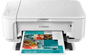 Canon PIXMA MG3650S WH