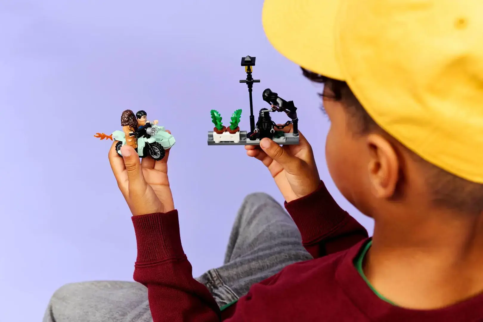 LEGO HARRY POTTER 76459 Hagrid and Harry's Privet Drive Escape