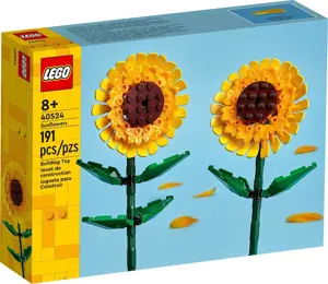 LEGO 40524 SAULĖGRĄŽOS