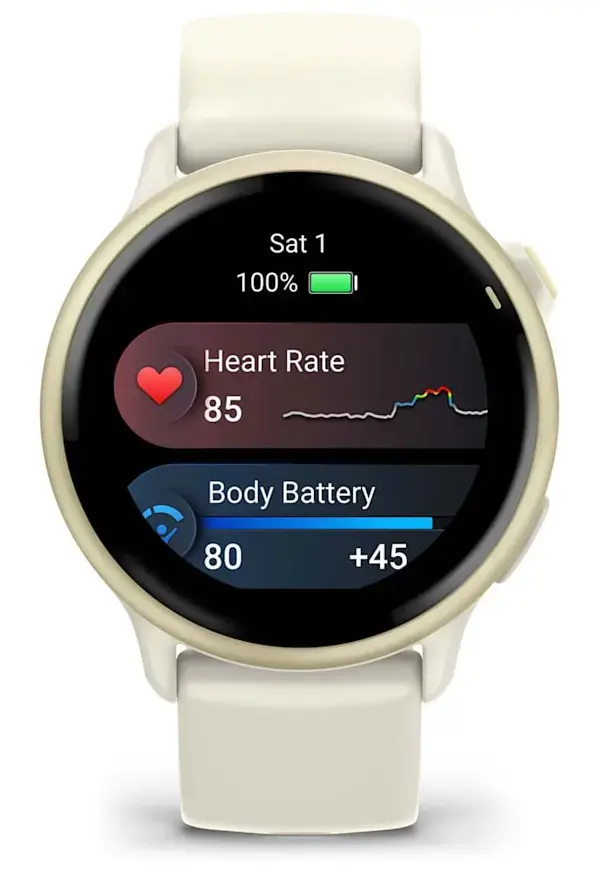 SMARTWATCH VIVOACTIVE 6/LUNAR GOLD 010-02985-01 GARMIN