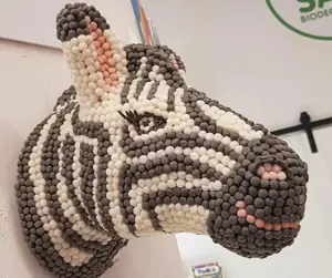 PlayMais NAMAI 9000, ZEBRAS