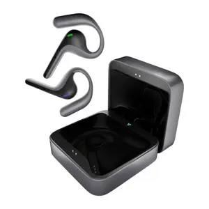 TIMEKETTLE W4 Pro Translation Earbuds