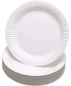 Vienkartinės popierinės lėkštės, 18 cm, (100 vnt)