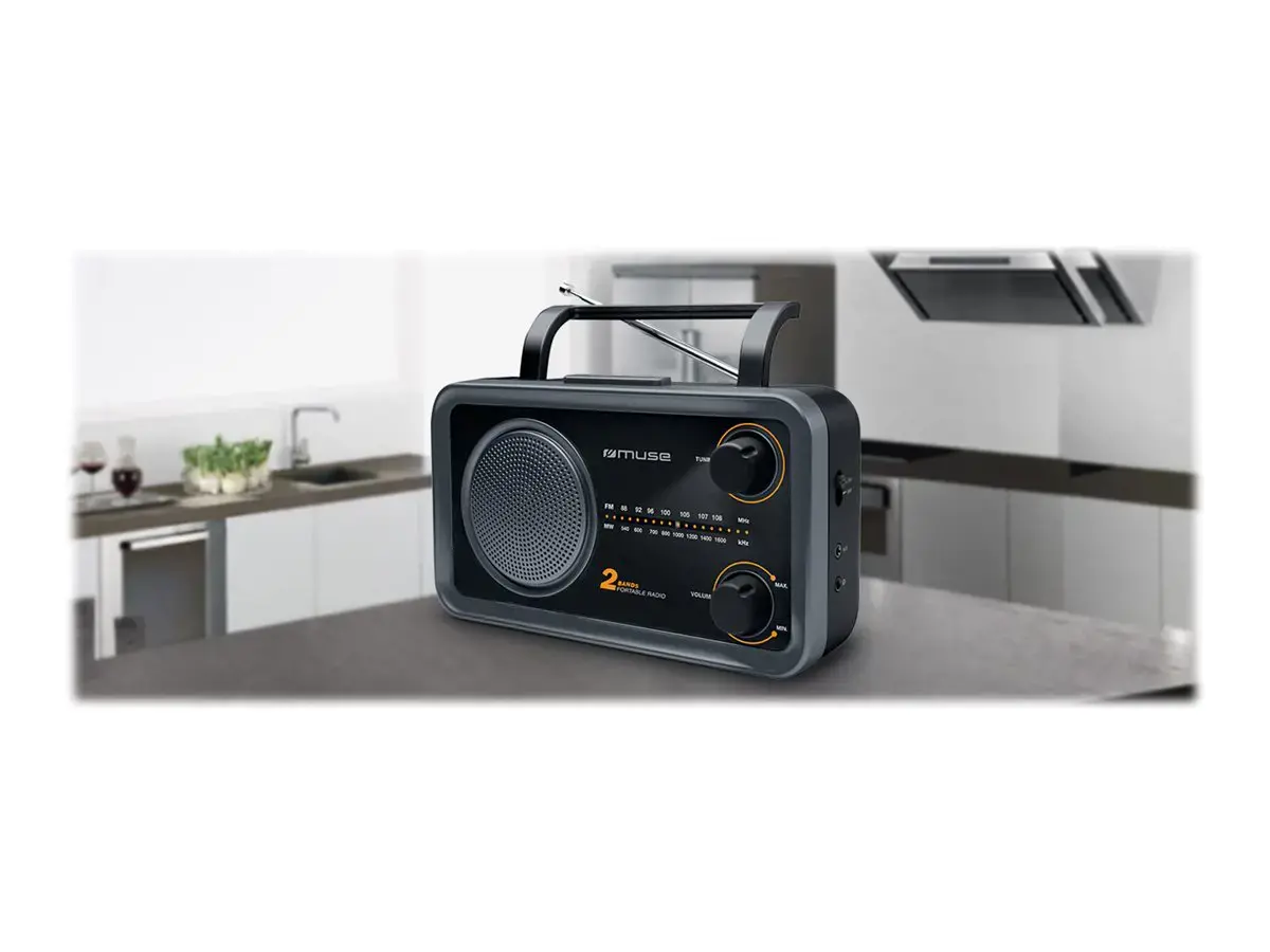 "Muse" 2 diapazonų nešiojamasis radijo imtuvas M-06DS Grey, AUX įvestis