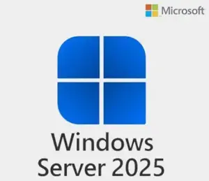 SW WIN SVR 2025 STANDARD/WS2022STD DOWNGRADE W/DVD DELL