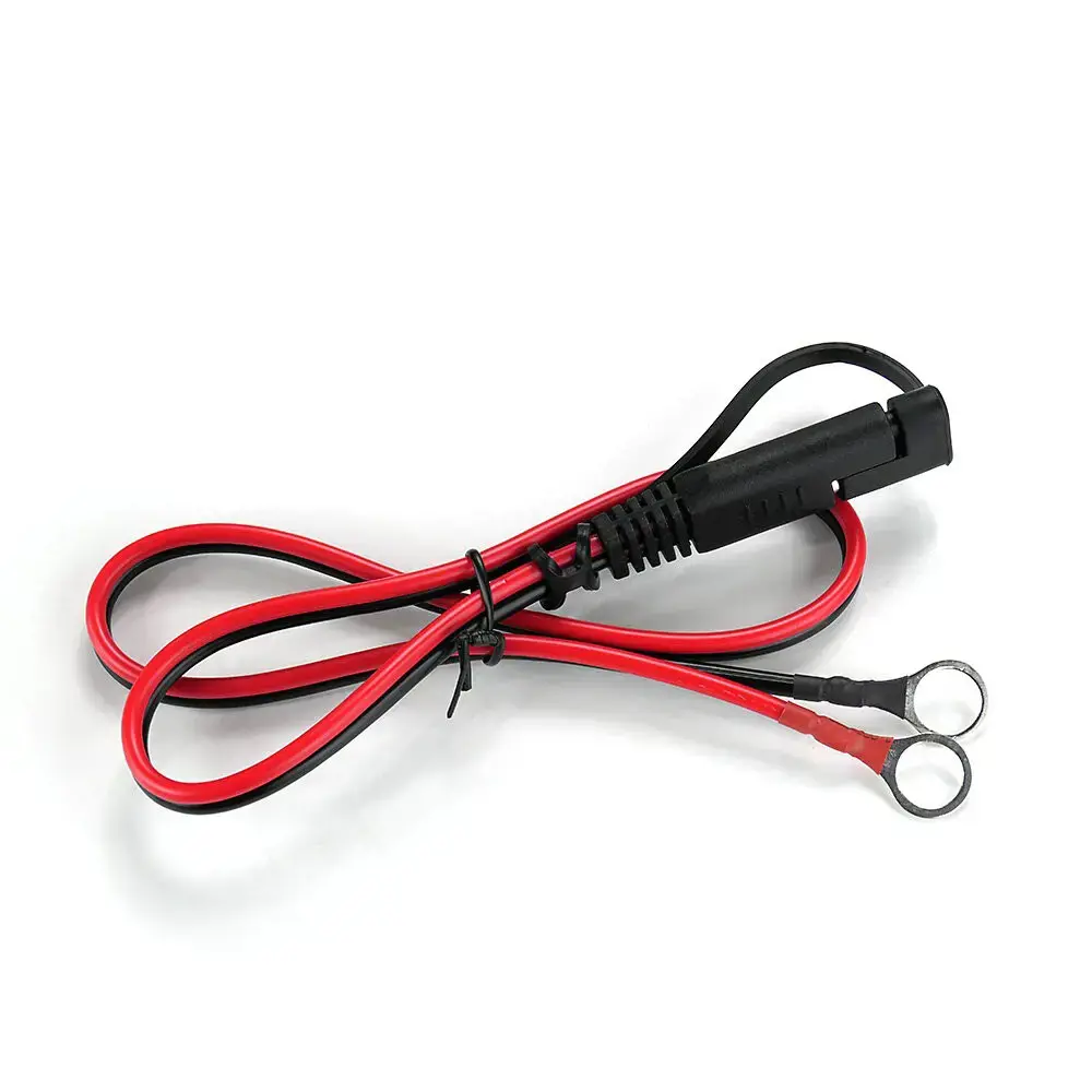 Įkroviklis, įkroviklis everActive CBC10 12V/24V