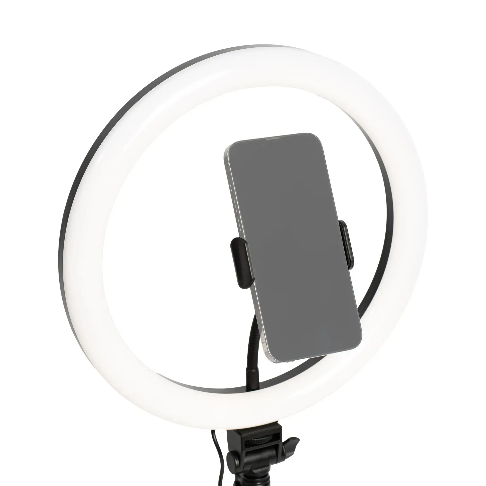 D-Fruit ringlight 12" + stand