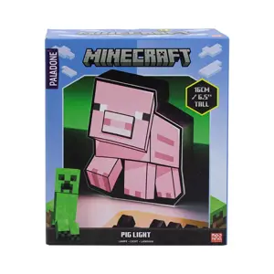 LAMPKA MINECRAFT - KIAULĖ