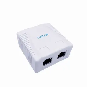 CABLE ACC MOUNT BOX CAT6A FTP/2P NCAC-2F6A-01 GEMBIRD