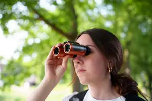 "Pentax" žiūronai UD 9x21, pilki/oranžiniai