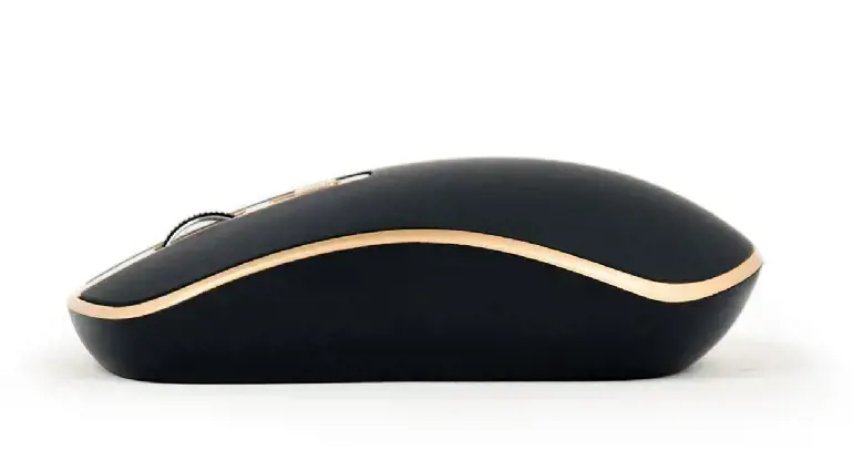 GEMBIRD MUSW-4B-06-BG Belaidė optinė pelė juoda-sidabrinė