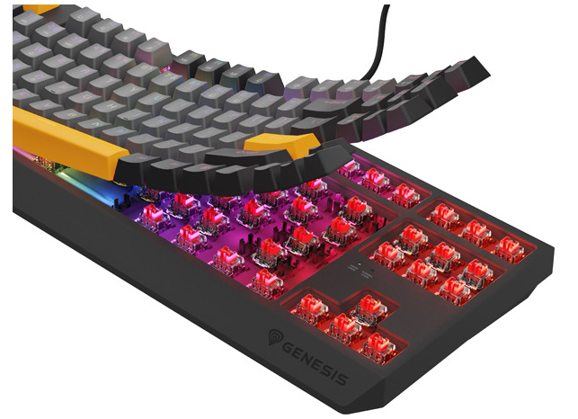 Genesis THOR 230 | Mechanical Gaming Keyboard | Wired | US | Anchor Gray Negative | USB Type-A | Outemu Red