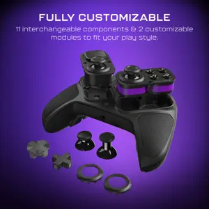 Turtle Beach wireless controller Victrix Pro BFG Reloaded PC, grey