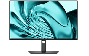 Dell Pro P 24 Monitor -P2426H